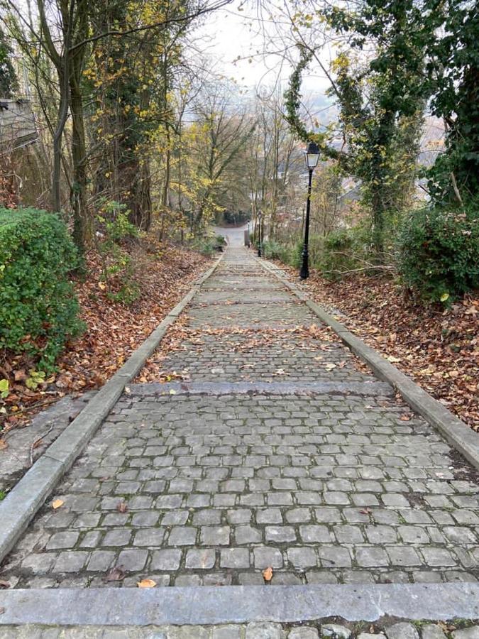 Vakantiewoning De Kassei Geraardsbergen Max 12Personen Zewnętrze zdjęcie